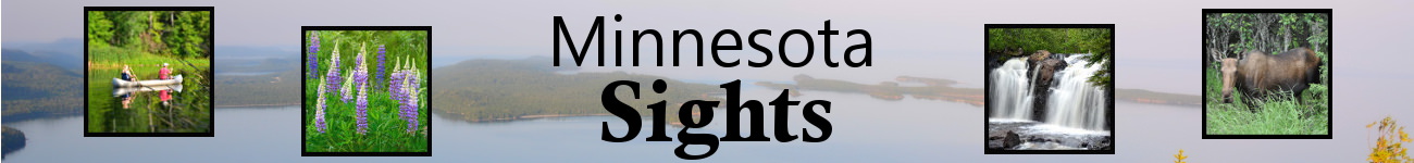 Minnesota Sights Banner