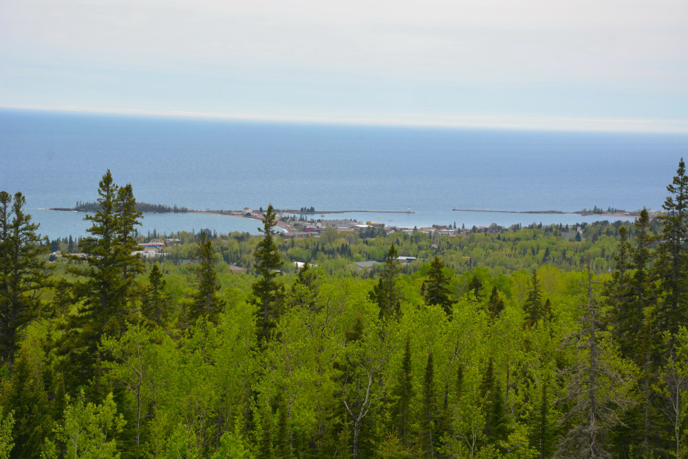 pincushion mountain trails