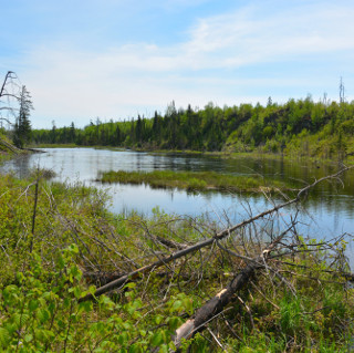 centennial trail