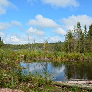 kimball lake trail