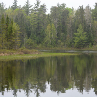 Moose viewing trail