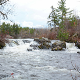 seagull river waterfalls